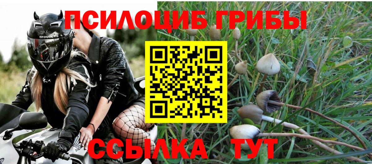 Галлюциногенные грибы Cubensis Вологда